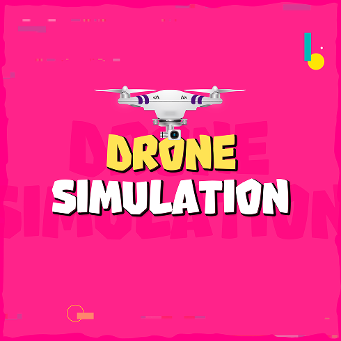 Drone Simulation